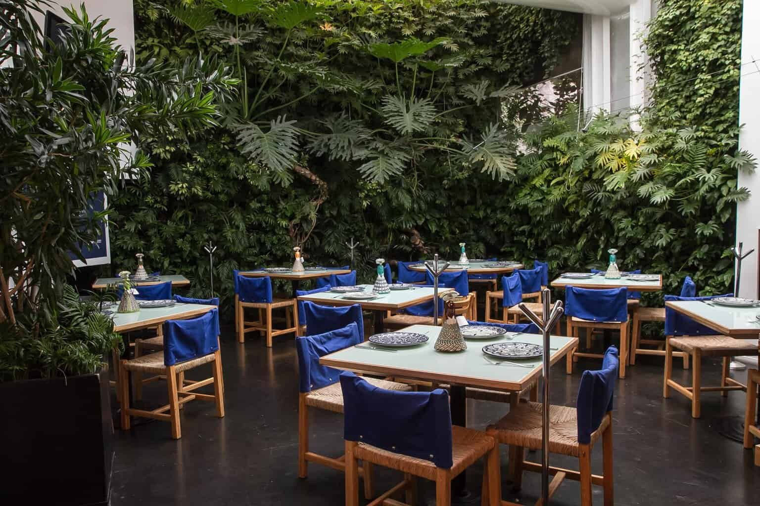 Opiniones de Azul Condesa